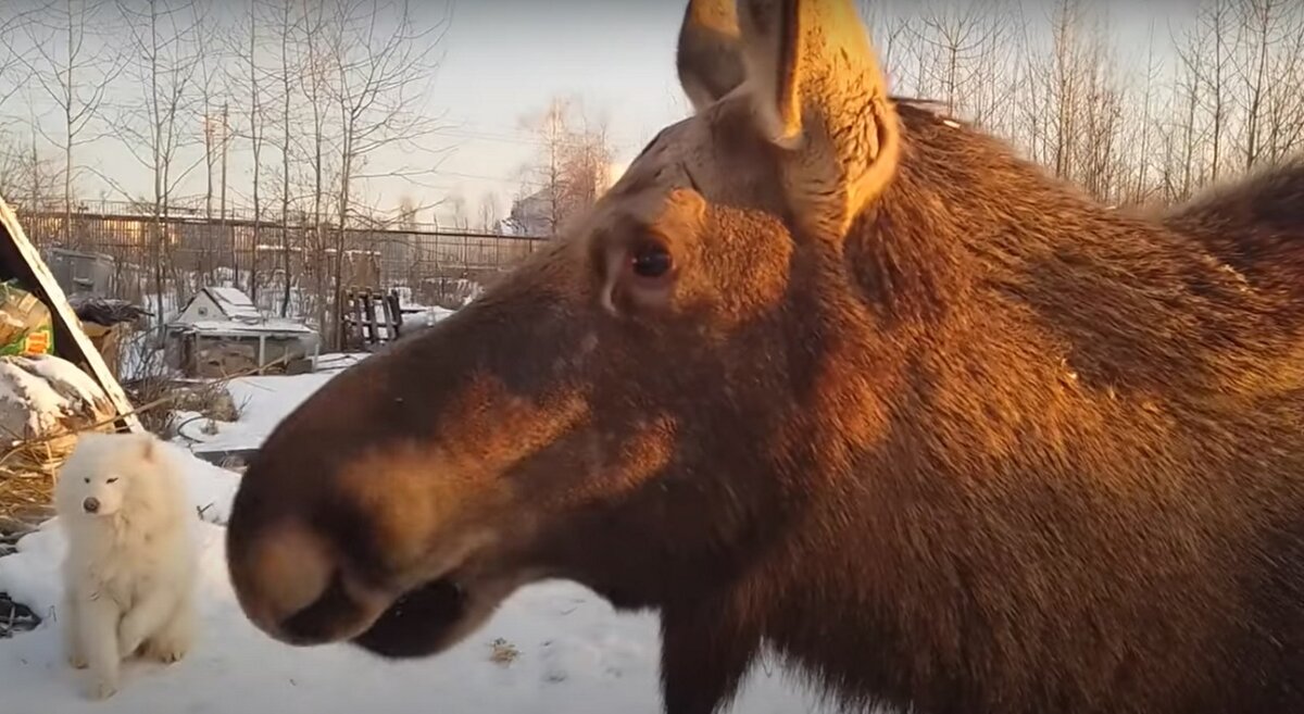    Пригодятся в морозы. Татьяна Пульная
