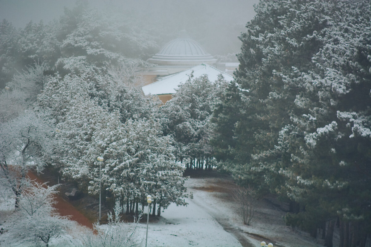 фото: Константин Кордонский