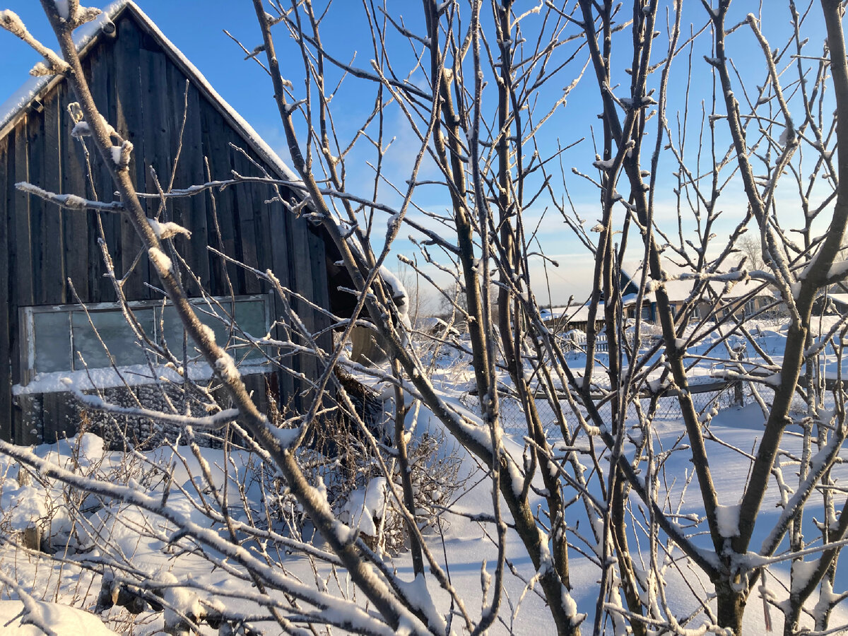 Деревенская зима