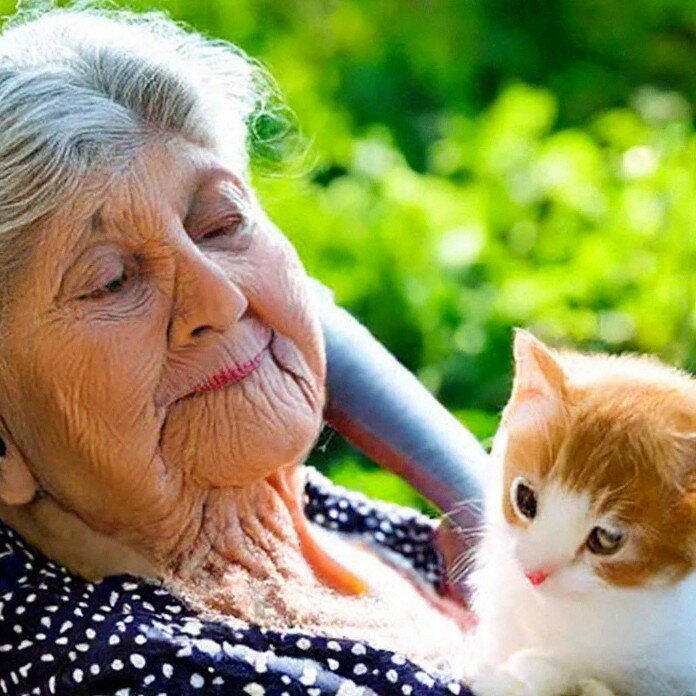 изображение генерировала нейросеть