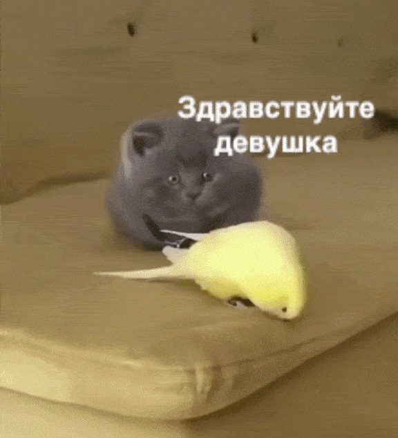 ой, а что дальше то?