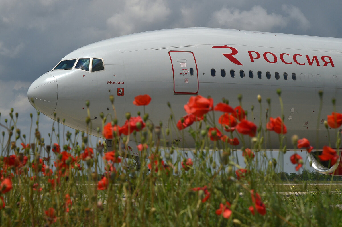 Фото (с) Александр Полегенько