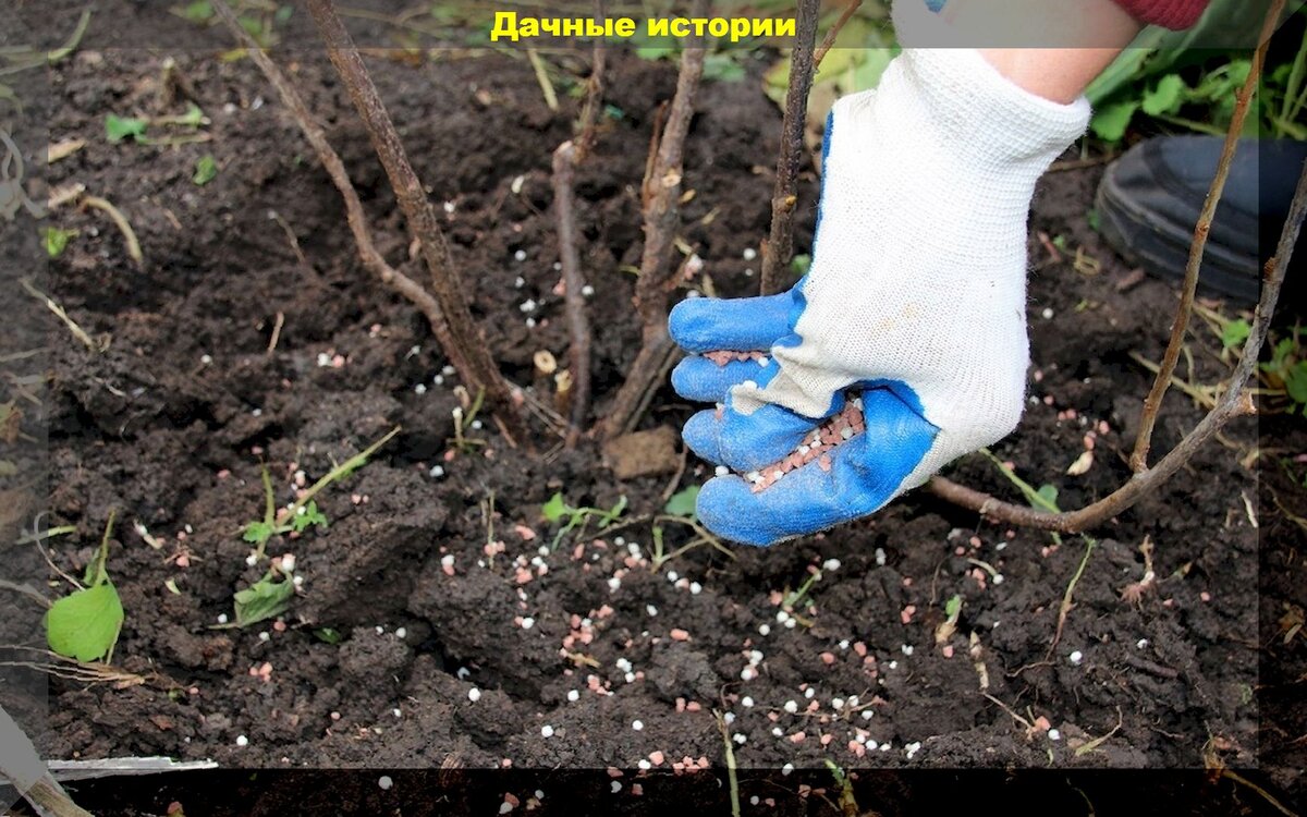 https://vk.com/photo-159774511_457249037