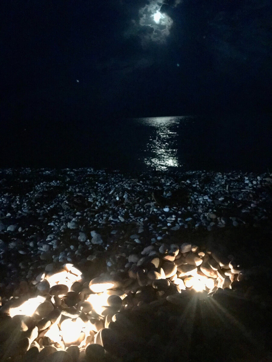 В копилку моментиков