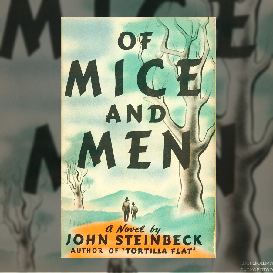 И я не могла пройти мимо этой обложки