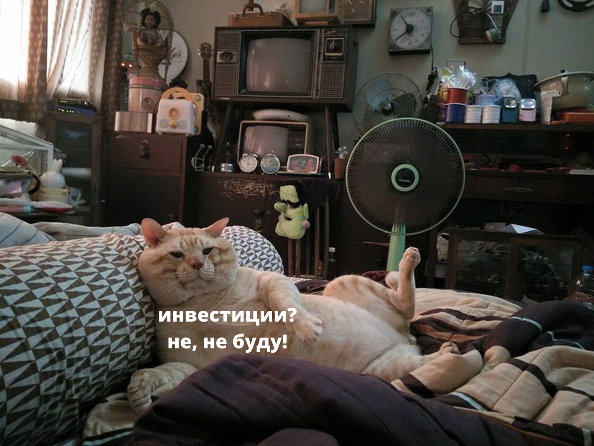 Многие не понимают, зачем нужны инвестиции. Их польза ощутима в долгосрочной перспективе.