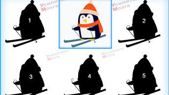 Какая соответствует изображению пингвина тень в точности Подобрать правильную сможете