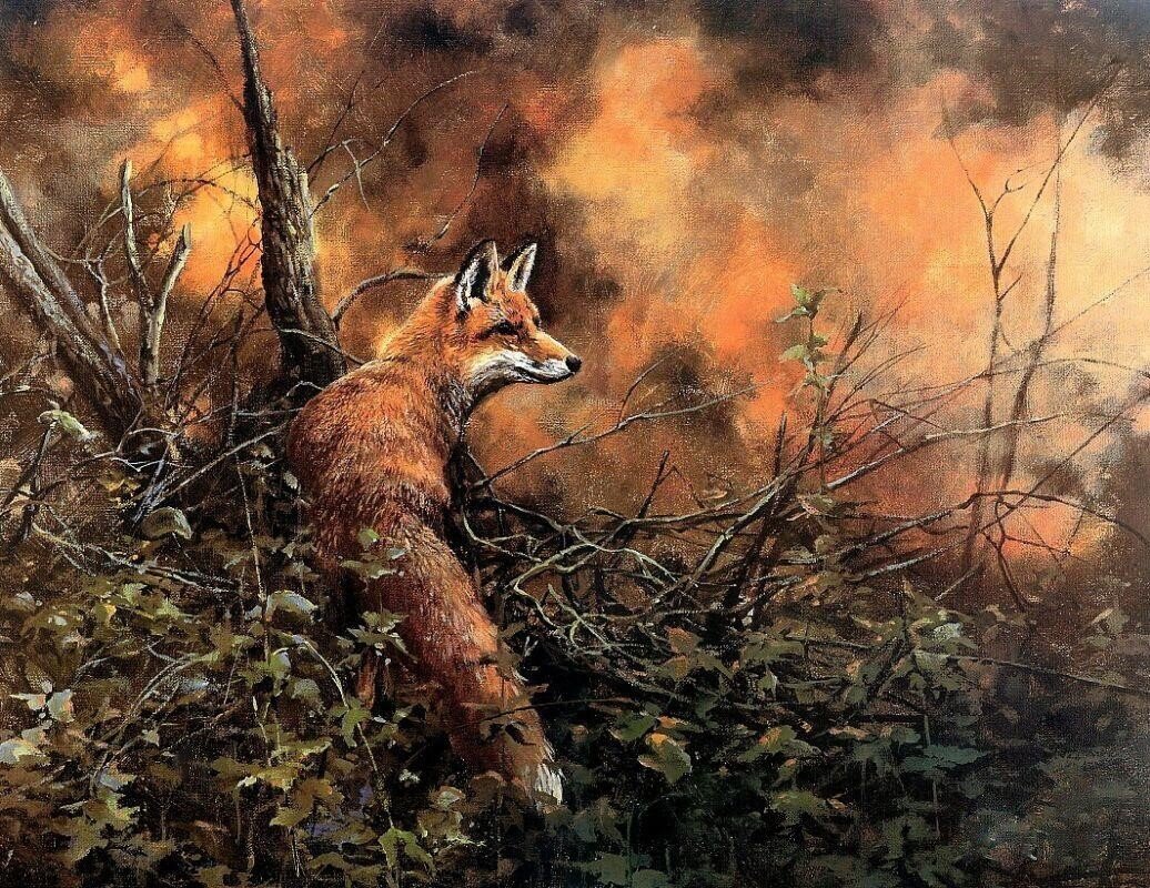 Питер Верстаппен "Пожар в лесу" 