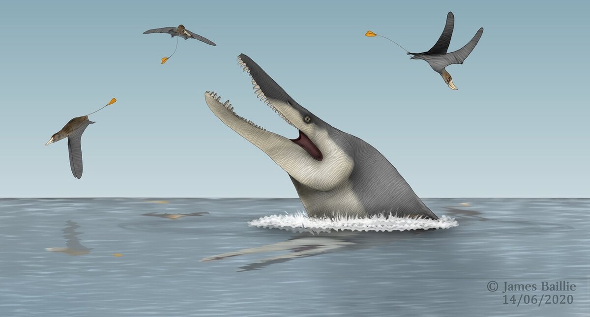 О! Грачи прилетели!