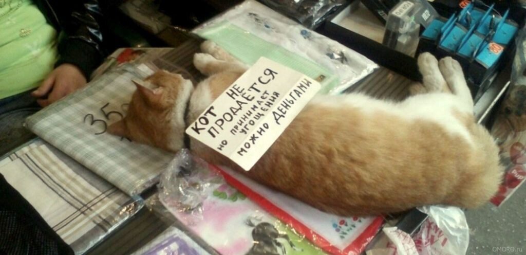 Посмеялся сам - поделись с другом!!!