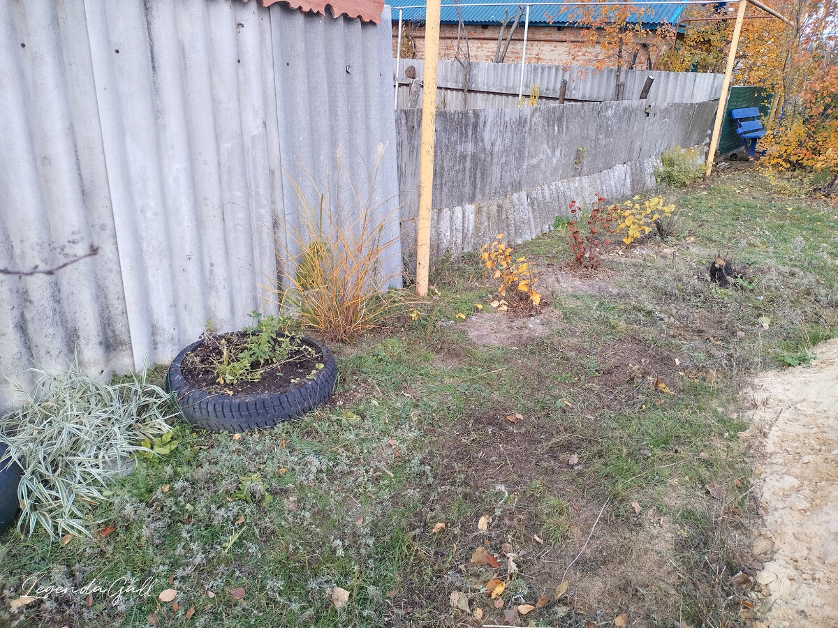 Кустики разрастутся, совсем красиво будет!