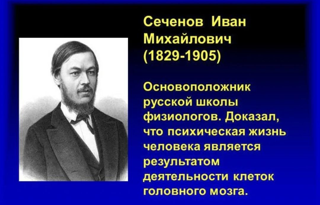 Русская физиологическая школа. Сеченов и.м. (1829-1905). Физиолог и. м. Сеченов.