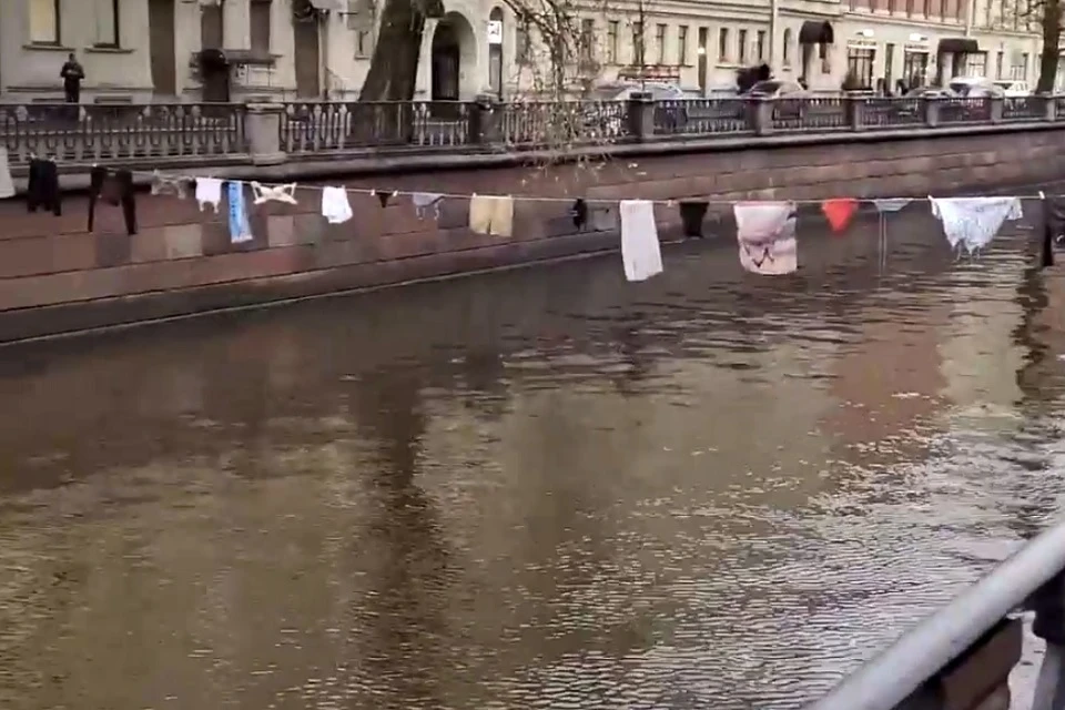 скриншот с видео в соцсетях