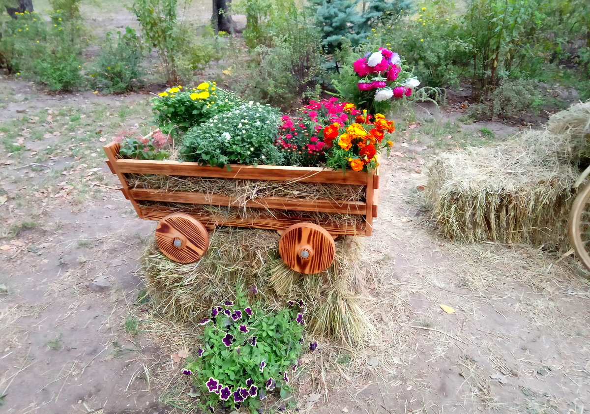 Фото из личного архива