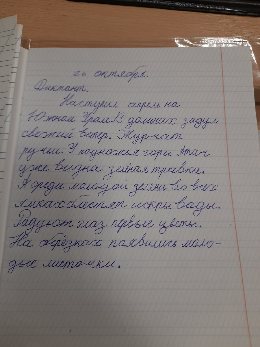 Диктант по Русскому языку