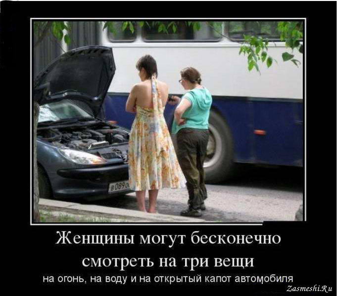 Фото из свободных источников 