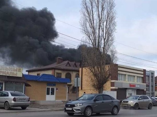     Фото: Соцсети