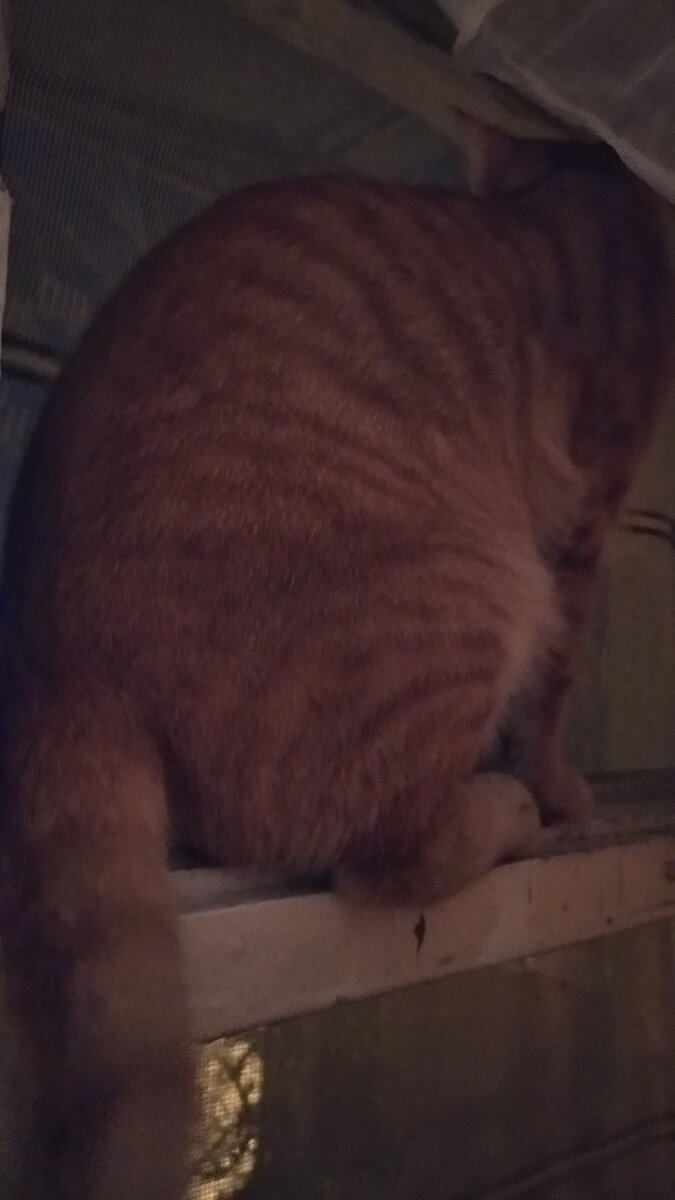 Личное  фото