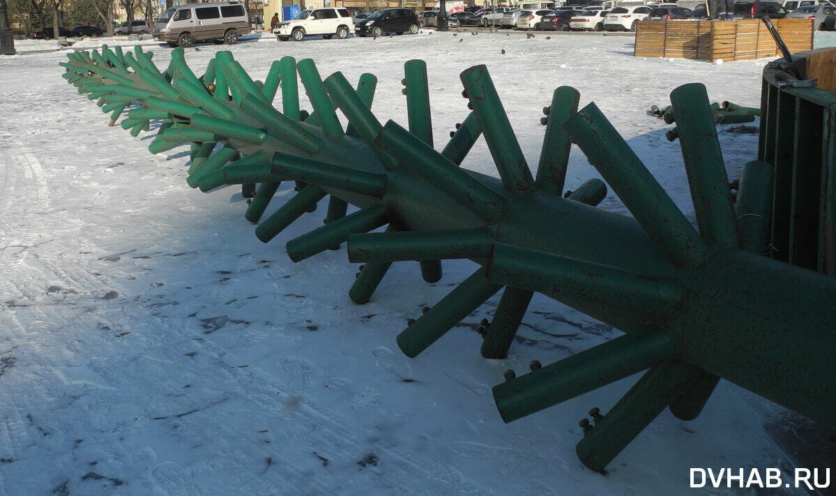    Прежний каркас елки