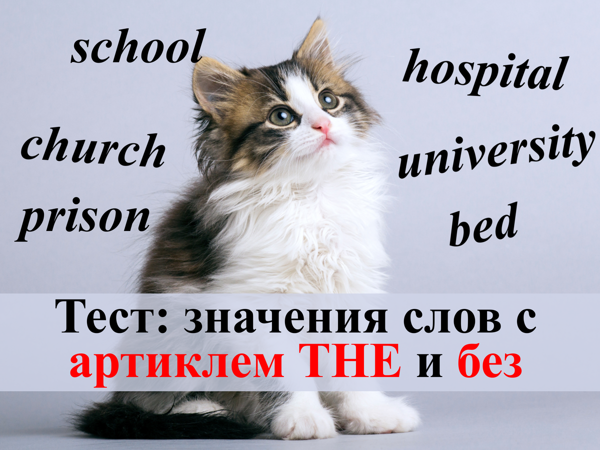 Тест: значения слов с артиклем THE и без (school, church, university ...