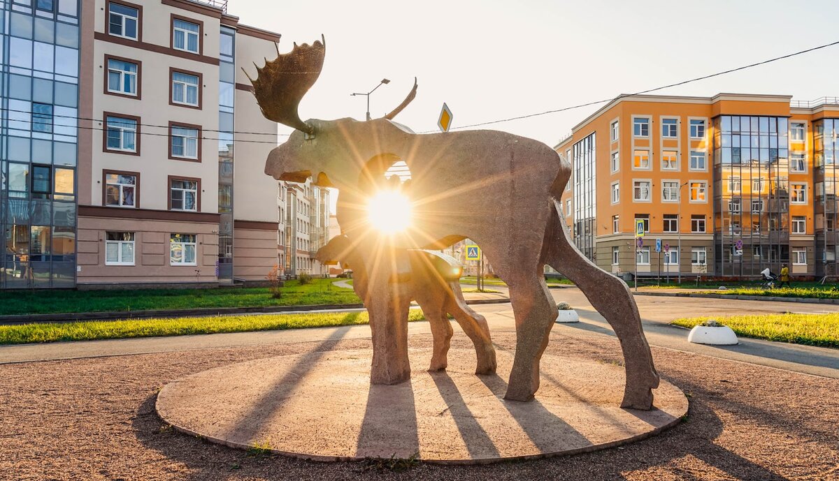 сертолово санкт петербург