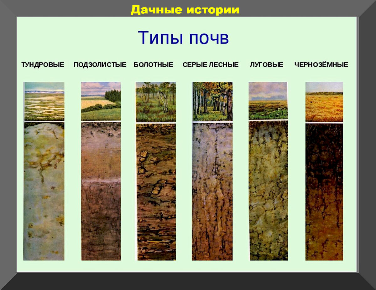 Как сделать почву мягкой и легкой: пошаговая инструкция | Дела огородные (resses.ru)