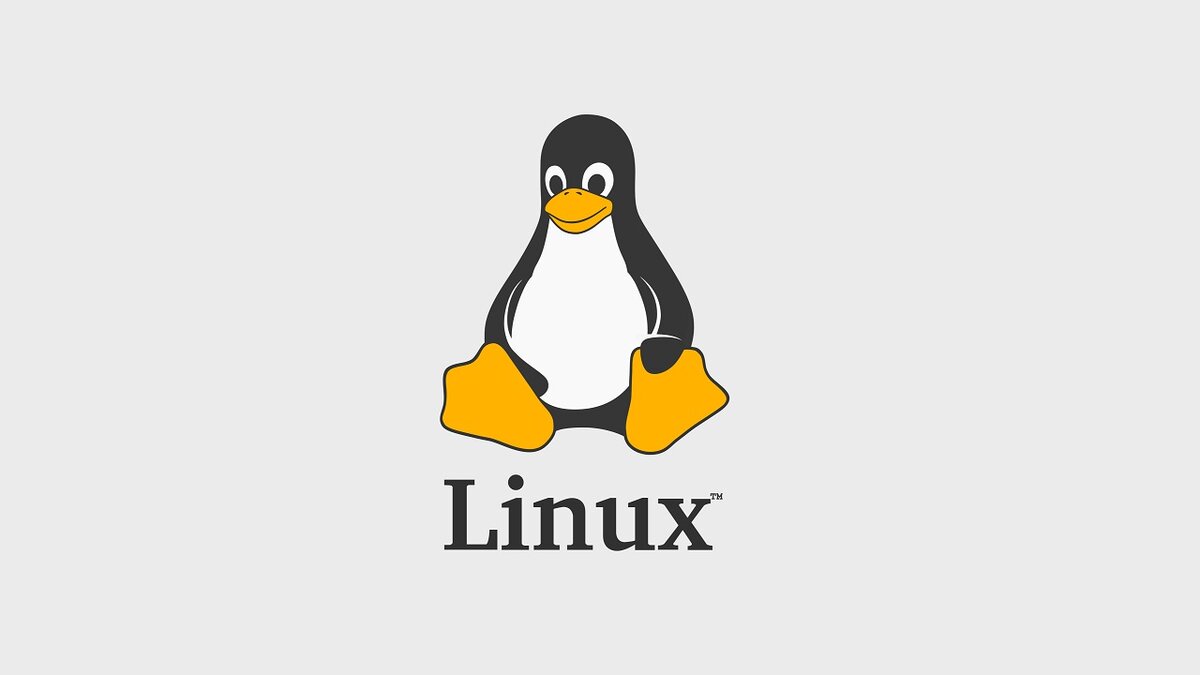 Выпущено ядро Linux 6.1 | Plectrom | Дзен