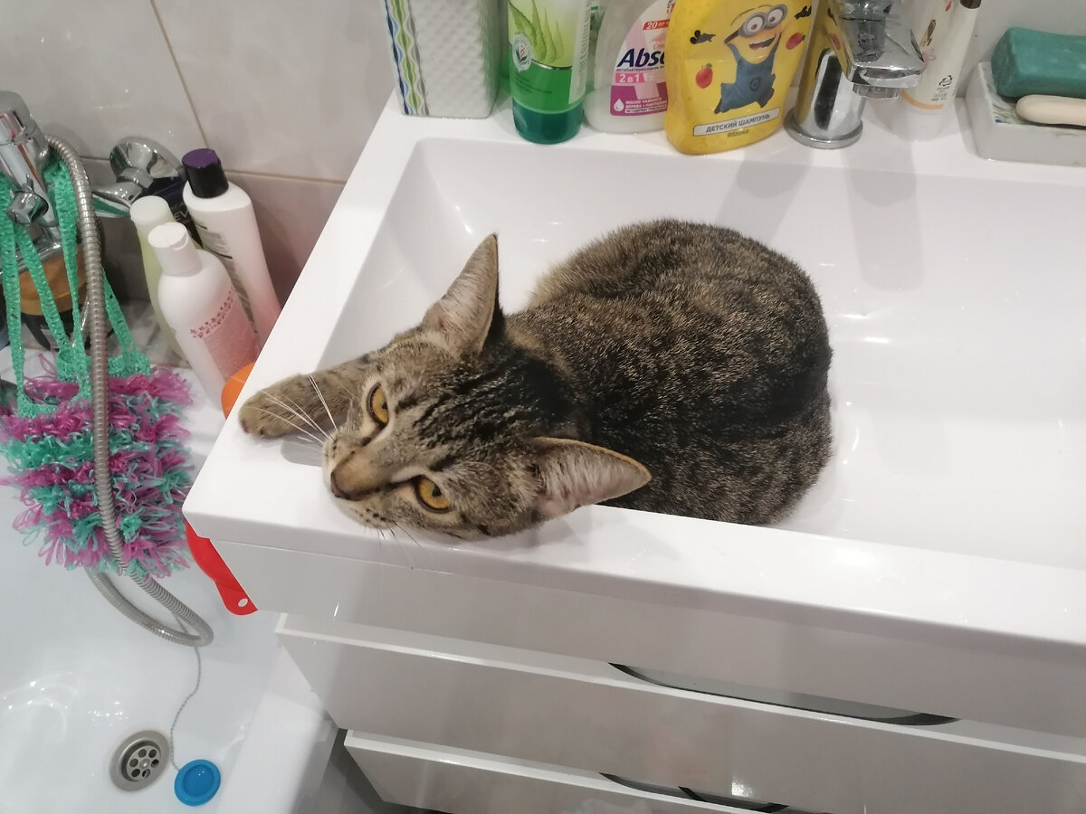 Ванну принимает