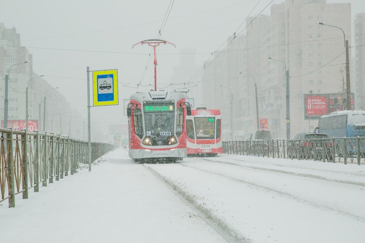   
 Фото: СПб ГУП «Горэлектротранс»