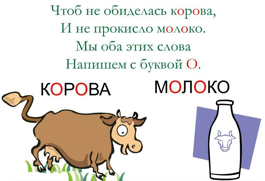 Как пишется горячее молоко. Корова молоко словарные слова. Словарарное слово короа. Словарное слово корова в картинках. Корова славарное слова?????????????????????????????????????.