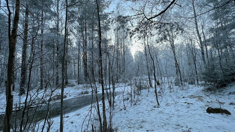     В Ростове-на-Дону со вторника, 20 декабря, резко похолодает до минус шести градусов, сообщили в Гидрометцентре.