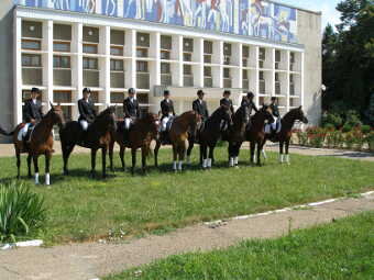 Конно-спортивная школа им. Будённого