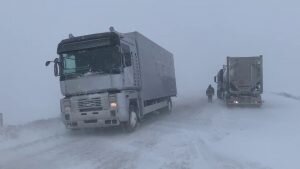    Фото: rus.azattyq-ruhy.kz Наталья Усова