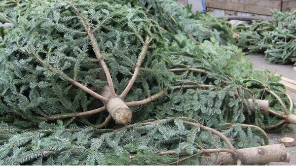   © Department of Environmental Supervision