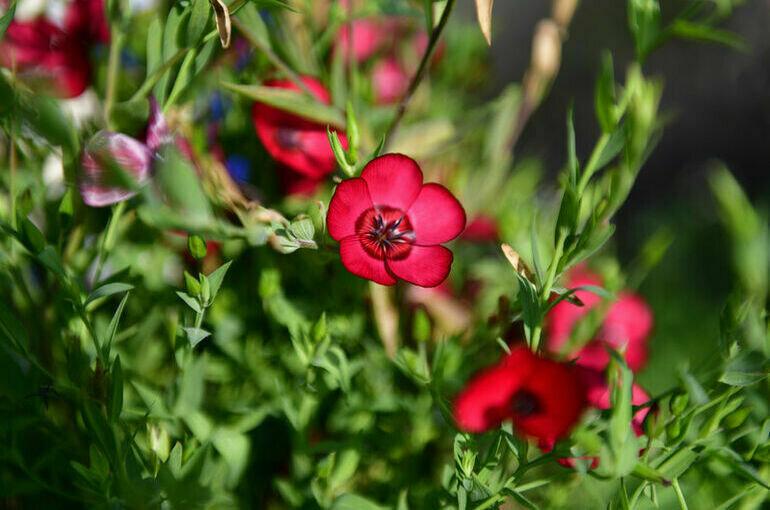   Юрий Инякин/ПГ