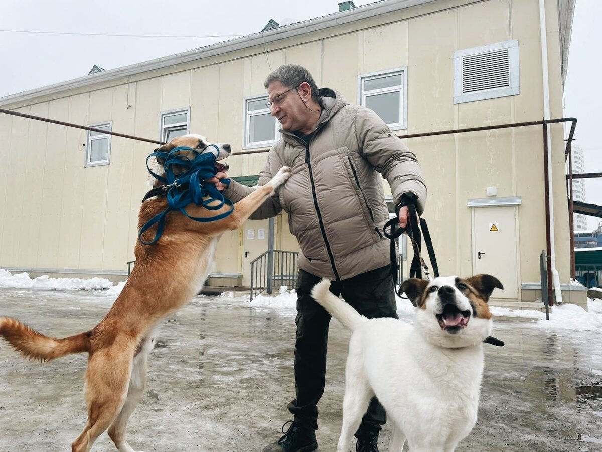 В приюте «Щербинка».