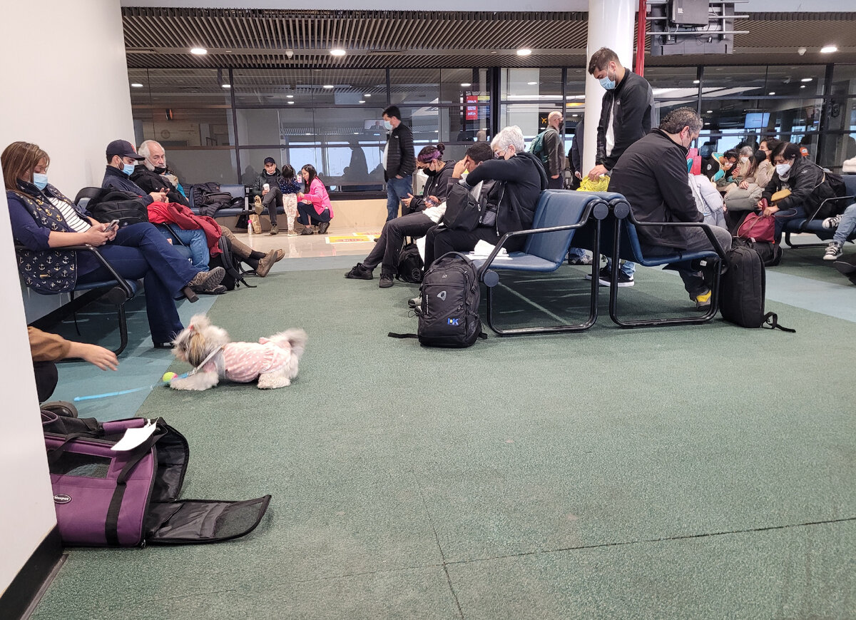 Чилийцы в аэропорту Сантьяго