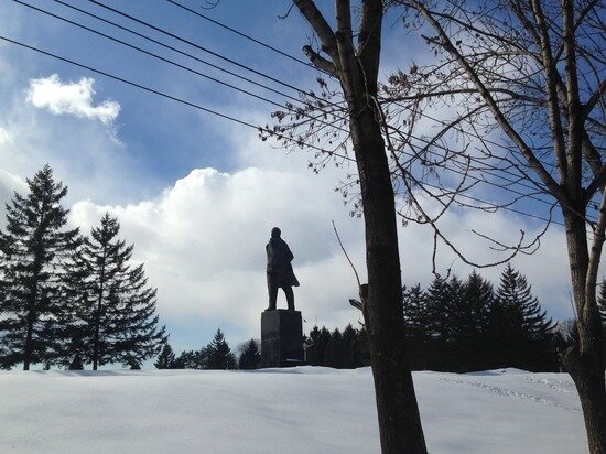     В Биробиджане девушка попросила наградить экипаж ГИБДД / Борис Кокурин
