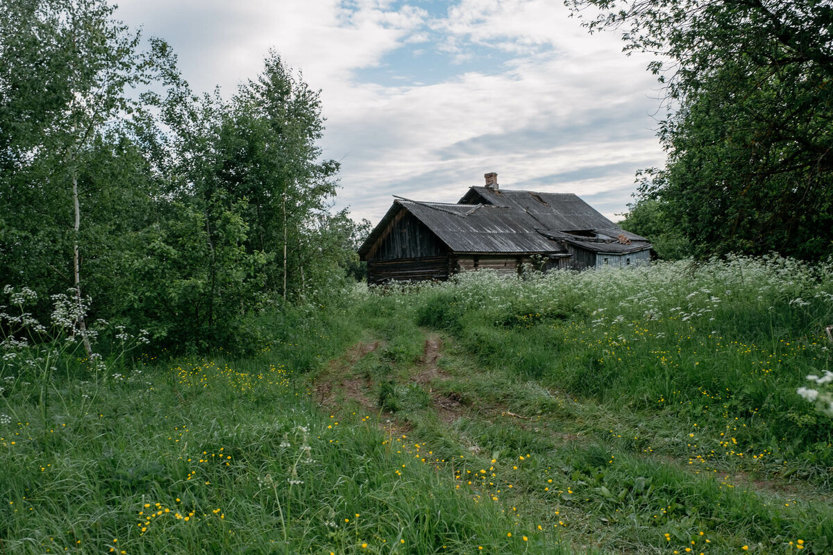 Из деревни пирожки в село княжеское