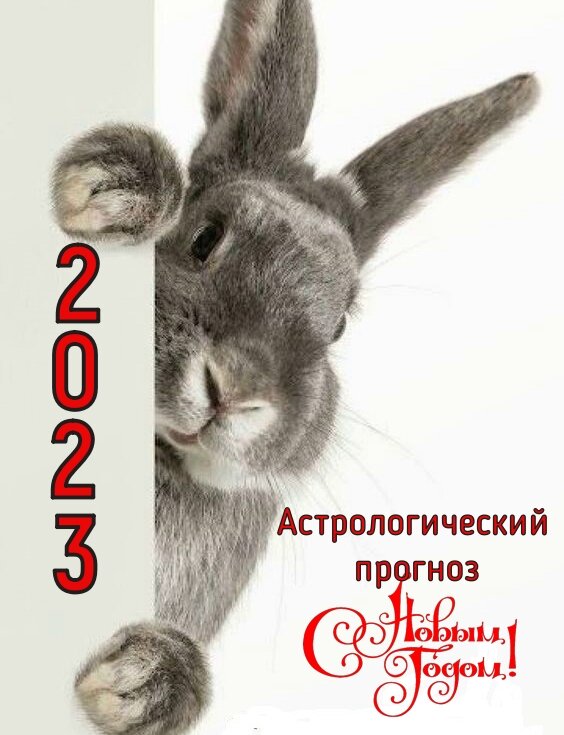 Кот 2023