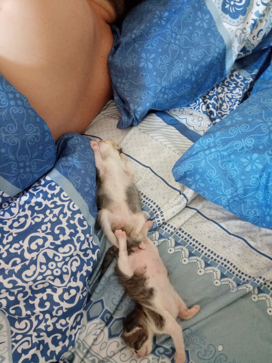 Такие маленькие, а уже на полкровати