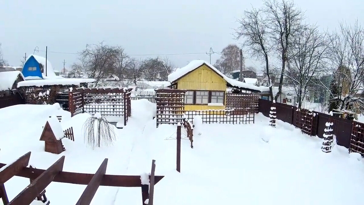 Наш участок. Зима 2021-2022