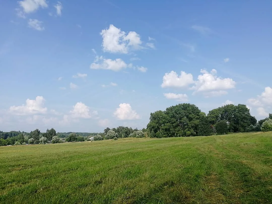 Типичный курский пейзаж