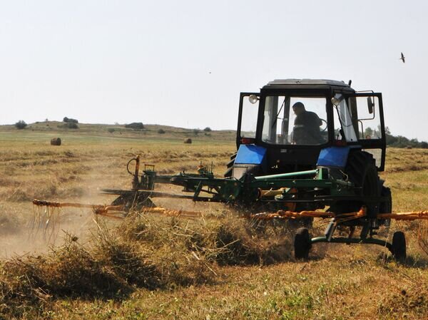   © РИА Новости Игорь Чабаненко