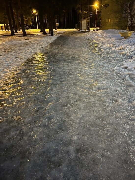   Екатерина Царева