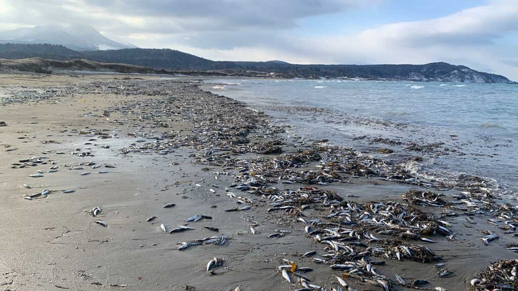    Фото: sktufar.ru