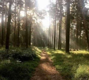    Фото: социальные сети Дарья Рубайло