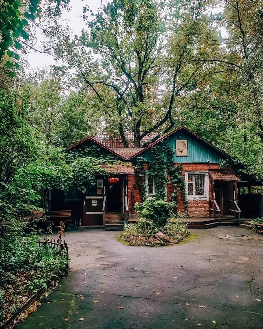 Фото из интернета