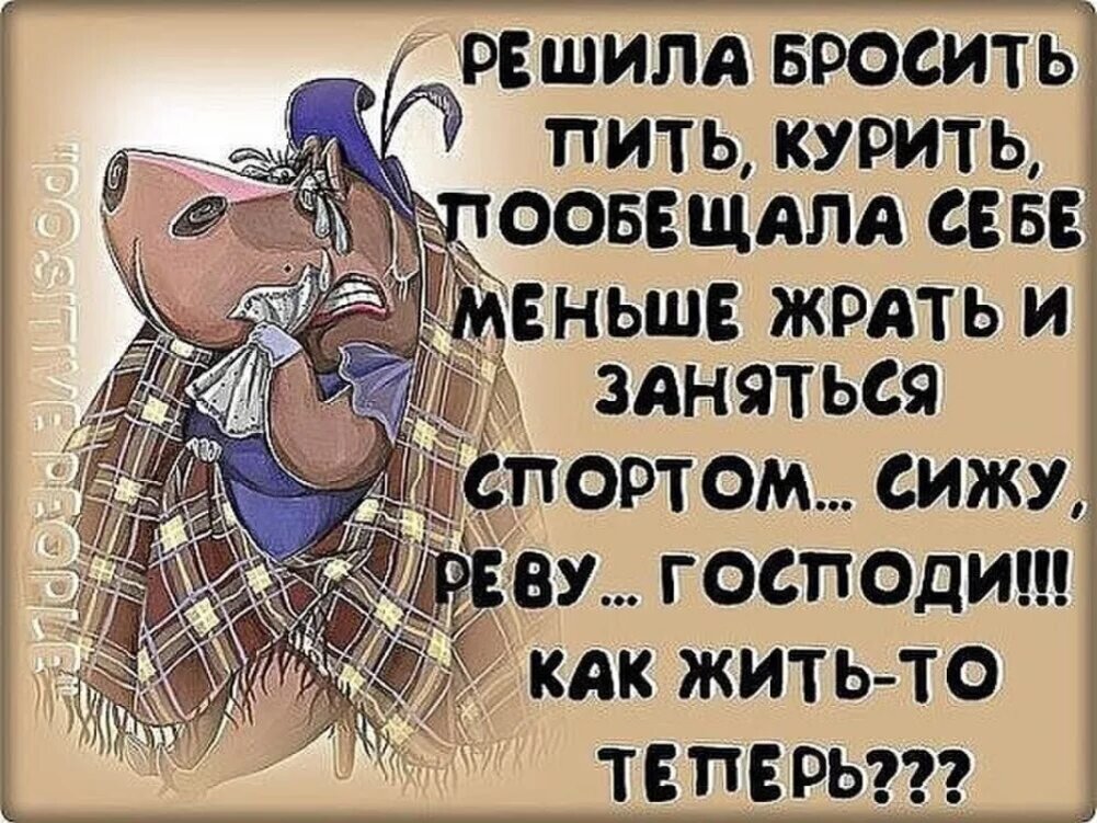Жить надо хорошо картинки