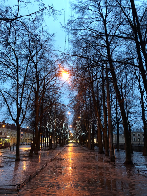 Фото автора. Набережная канала Грибоедова. Лёд, дождь и ветер... Но как прекрасно! 